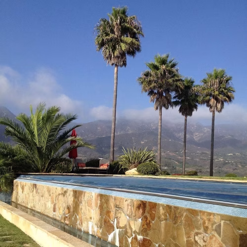 A serene landscape featuring tall palm trees and a tranquil infinity pool, set against a backdrop of misty mountains. The scene captures a peaceful outdoor environment.