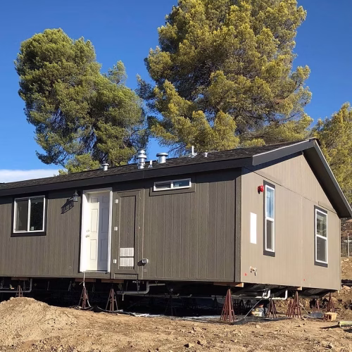 A compact, modern house is set on stilts in a natural landscape, surrounded by trees. The exterior features a neutral color scheme with multiple windows.